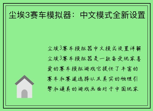 尘埃3赛车模拟器:中文模式全新设置 尘埃3赛车模拟器:中文模式全新设置